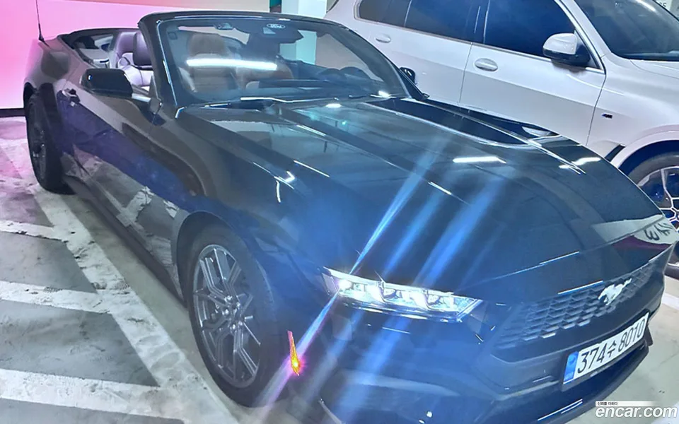 Ford Mustang 2.3 2024 — миниатюра 4