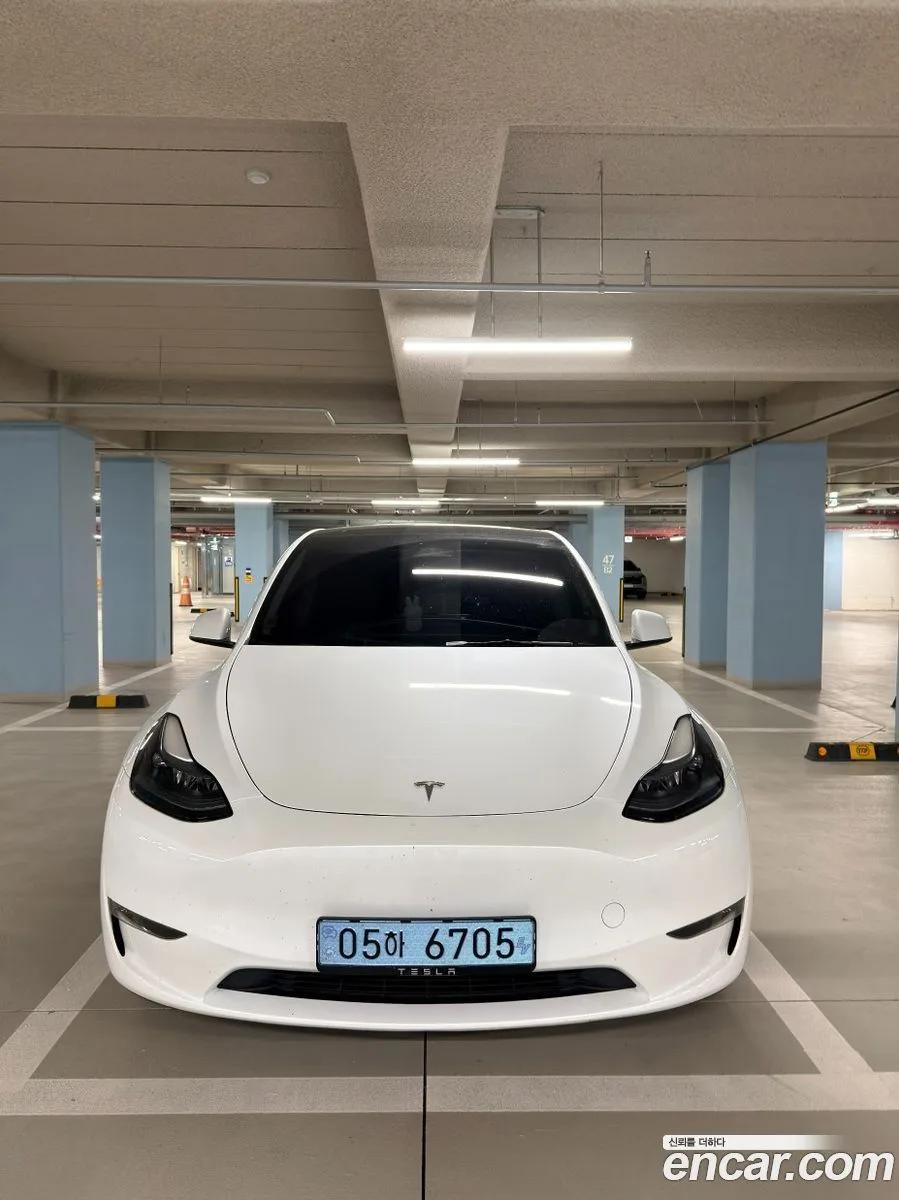 Tesla Model Y AWD 2024 — фото 1, купить с доставкой в Москву