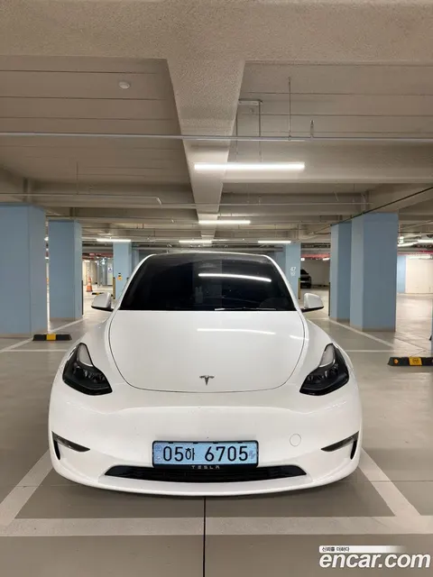Tesla Model Y 2024 buy in Moscow