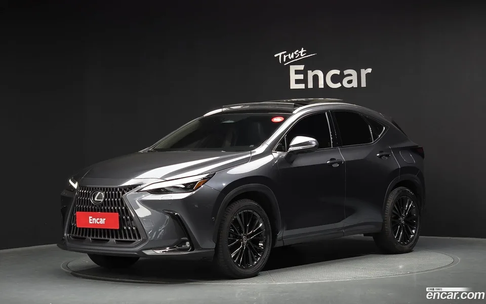 Lexus NX 350h 2024 — фото 1, купить с доставкой в Москву