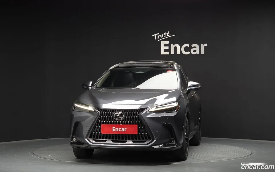 Lexus NX 350h 2024 — миниатюра 3