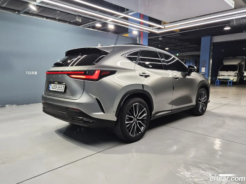 Lexus NX 350h 2024 — миниатюра 2