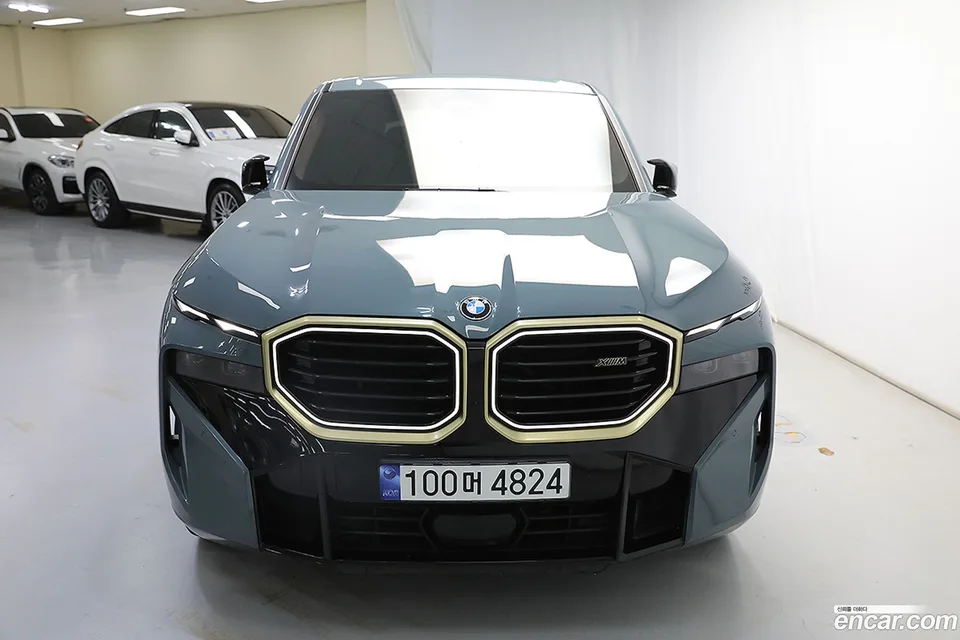 BMW XM 4.4 2023 — фото 1, купить с доставкой в Москву