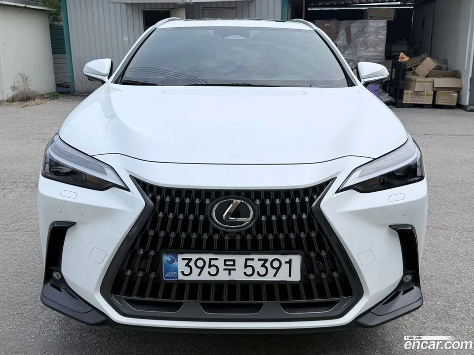Lexus NX 450h+ 2026 — фото 1, купить с доставкой в Москву
