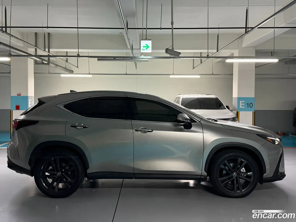 Lexus NX 350h 2024 — миниатюра 4