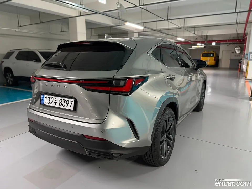 Lexus NX 350h 2024 — миниатюра 5