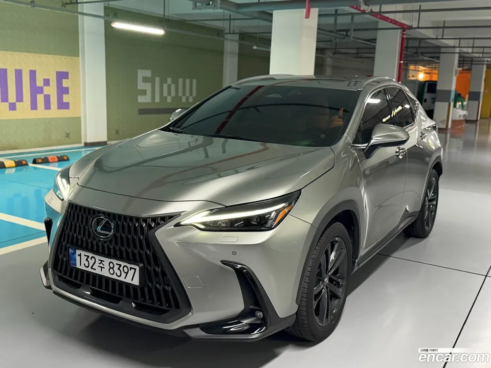 Lexus NX 350h 2024 — фото 1, купить с доставкой в Москву