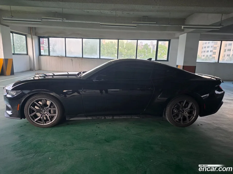 Ford Mustang 2.3 2025 — миниатюра 2