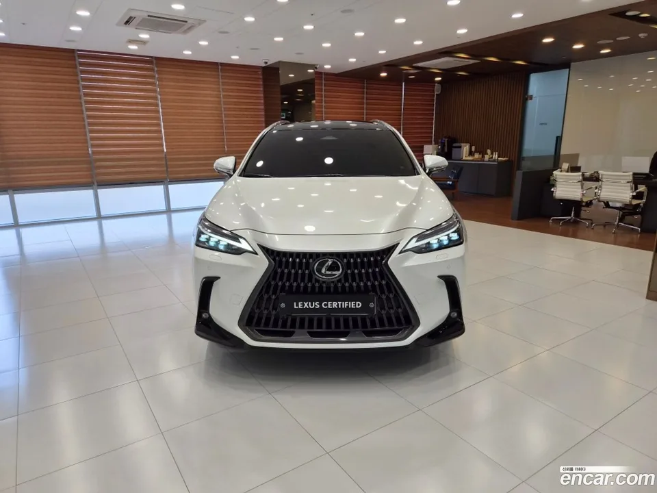 Lexus NX 350h 2024 — миниатюра 3
