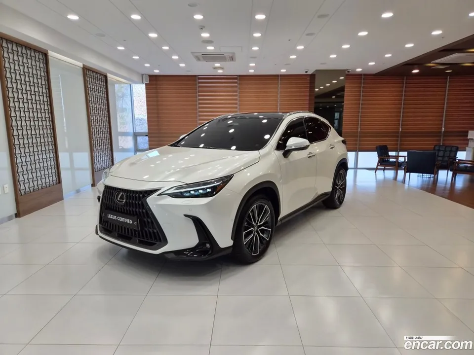 Lexus NX 350h 2024 — фото 1, купить с доставкой в Москву