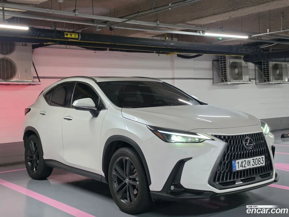 Lexus NX 350h 2025 — миниатюра 2