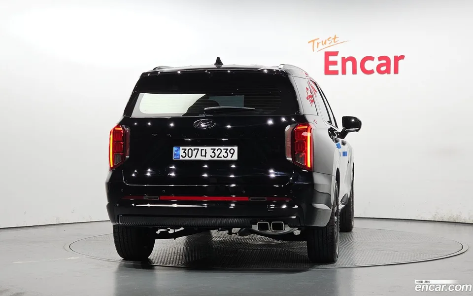 Hyundai Palisade 3.8 2WD 2024 — миниатюра 4
