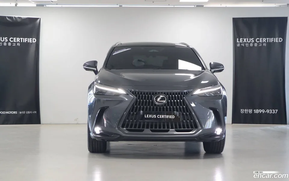 Lexus NX 350h 2025 — миниатюра 3