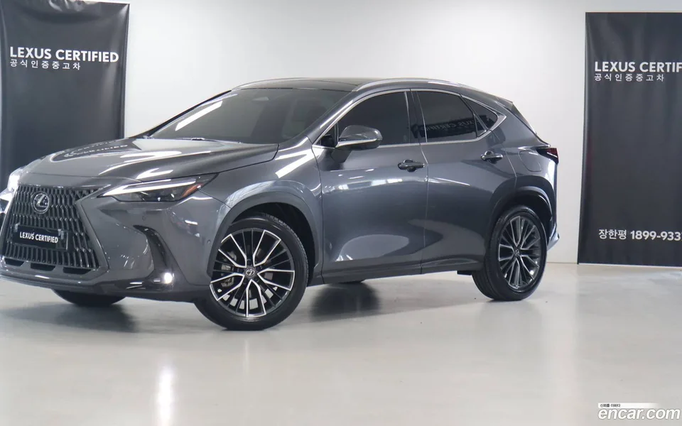 Lexus NX 350h 2025 — фото 1, купить с доставкой в Москву