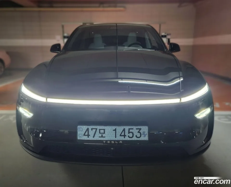Tesla Model Y AWD 2025 — фото 1, купить с доставкой в Москву