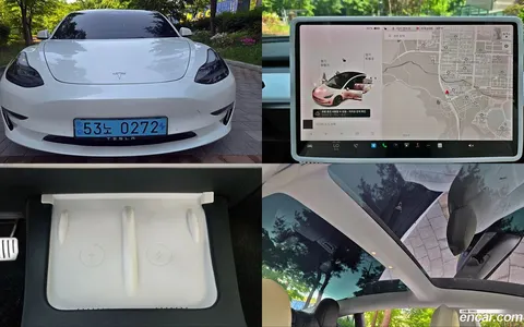 Tesla Model 3 2022 buy in Moscow