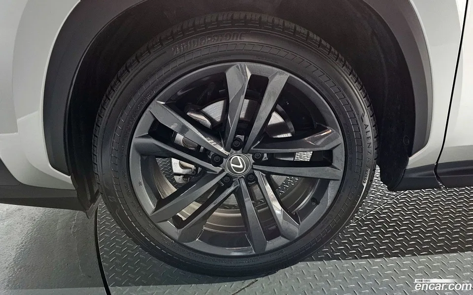 Lexus NX 350h 2024 — миниатюра 2