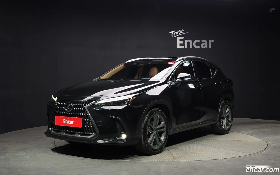 Lexus NX 350h 2023 — фото 1, купить с доставкой в Москву