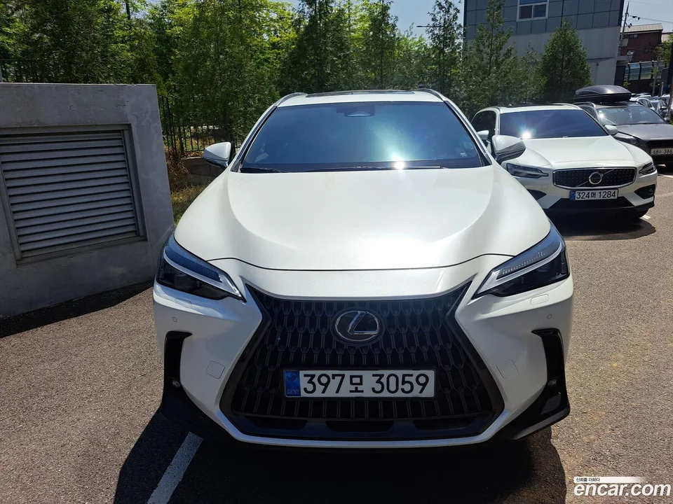 Lexus NX 350h 2024 — фото 1, купить с доставкой в Москву