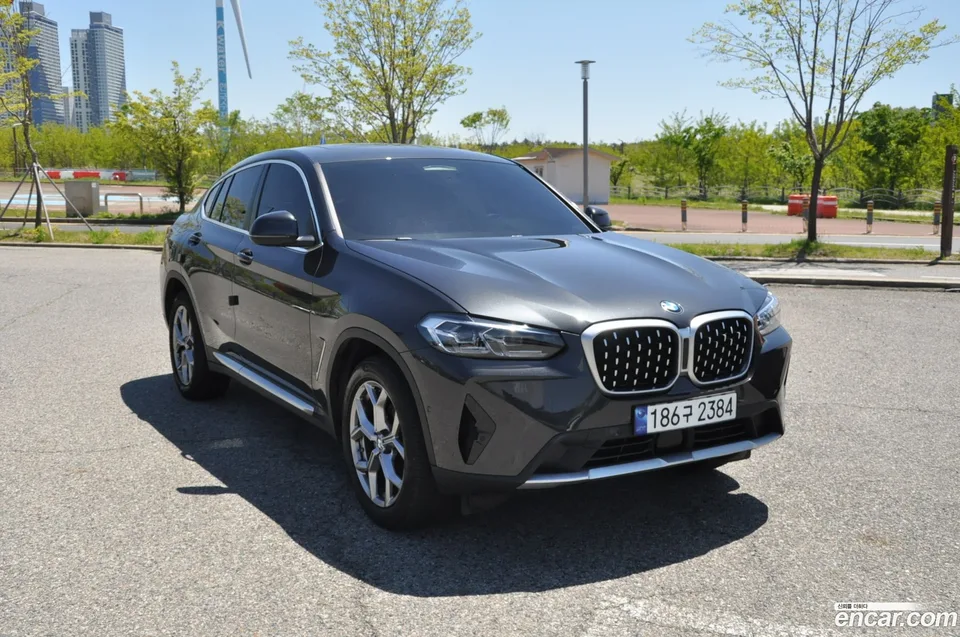 BMW X4 xDrive20i xLine 2023 — фото 1, купить с доставкой в Москву
