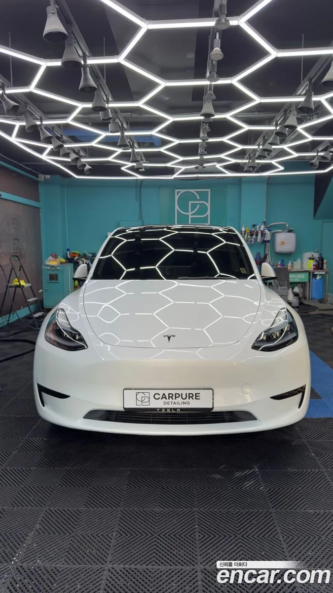 Tesla Model Y RWD 2024 — фото 1, купить с доставкой в Москву