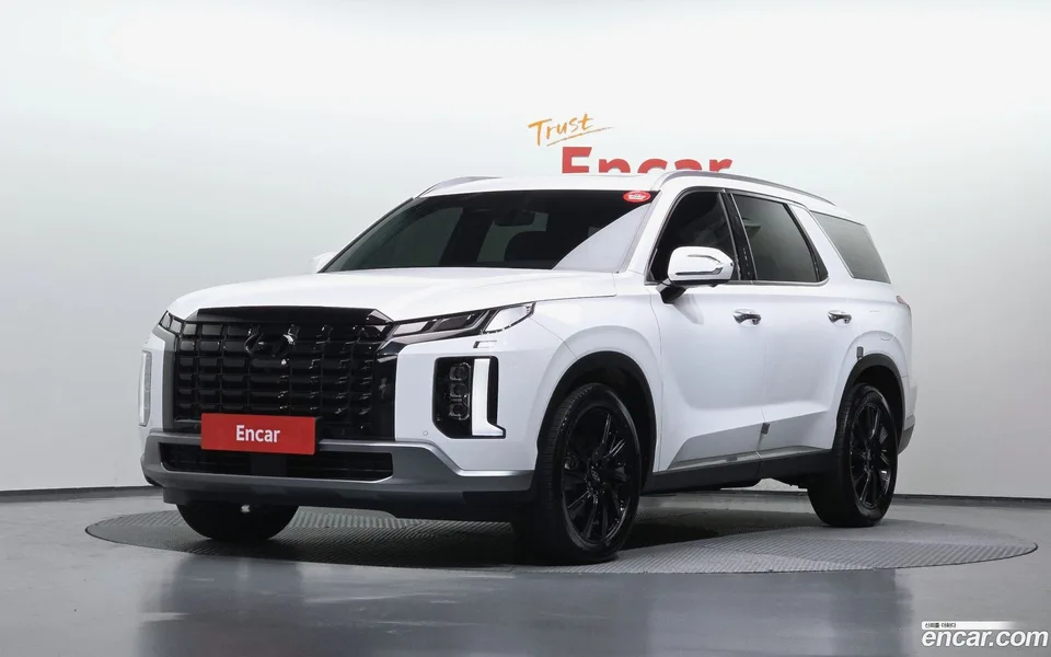 Hyundai Palisade 3.8 4WD 2023 — photo 1, buy with delivery to Moscow