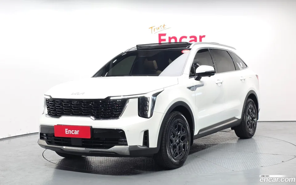 Kia Sorento HEV 1.6 2WD 2024 — фото 1, купить с доставкой в Москву