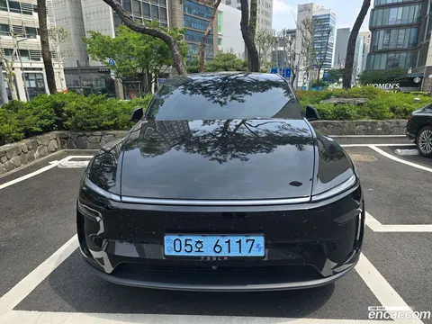 Tesla Model Y 2025 buy in Moscow