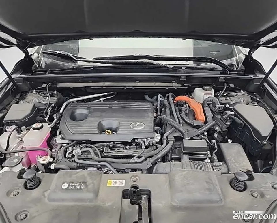 Lexus NX 350h 2022 — миниатюра 5