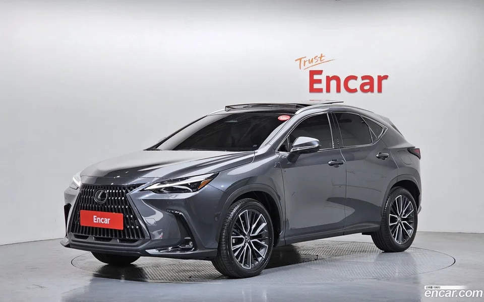 Lexus NX 350h 2025 — фото 1, купить с доставкой в Москву