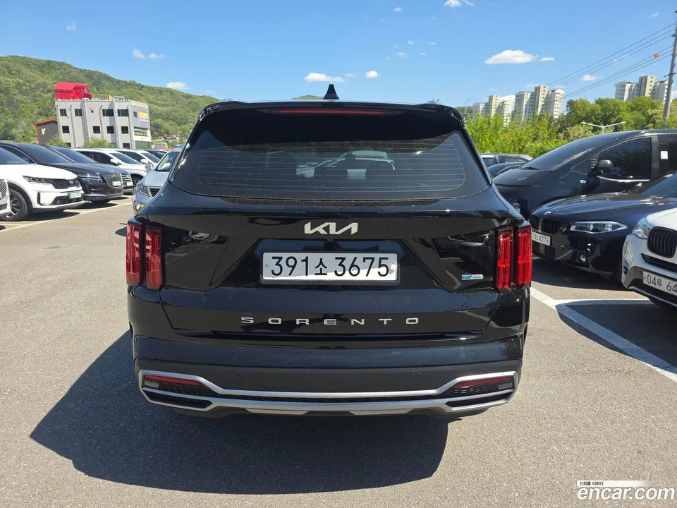 Kia Sorento HEV 1.6 2WD 2022 — миниатюра 4