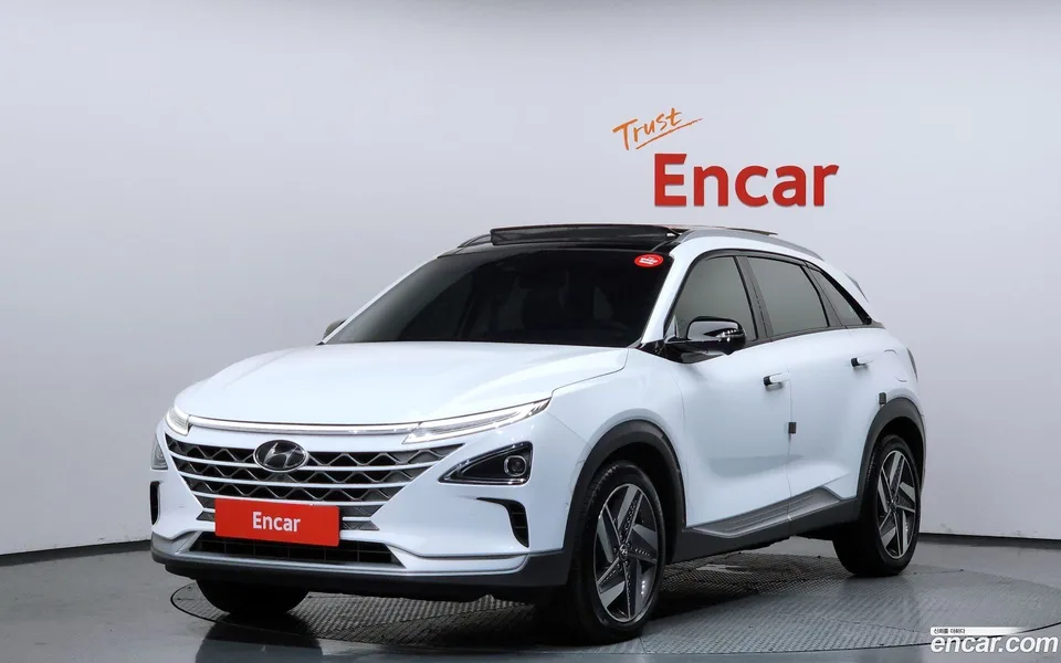 Hyundai Nexo 2022 — фото 1, купить с доставкой в Москву