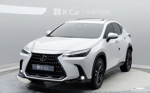 Lexus NX 350h 2024 buy in Moscow