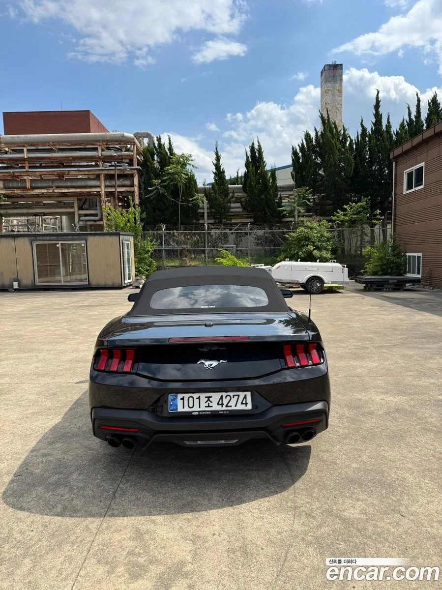 Ford Mustang 2.3 2024 — thumbnail 3
