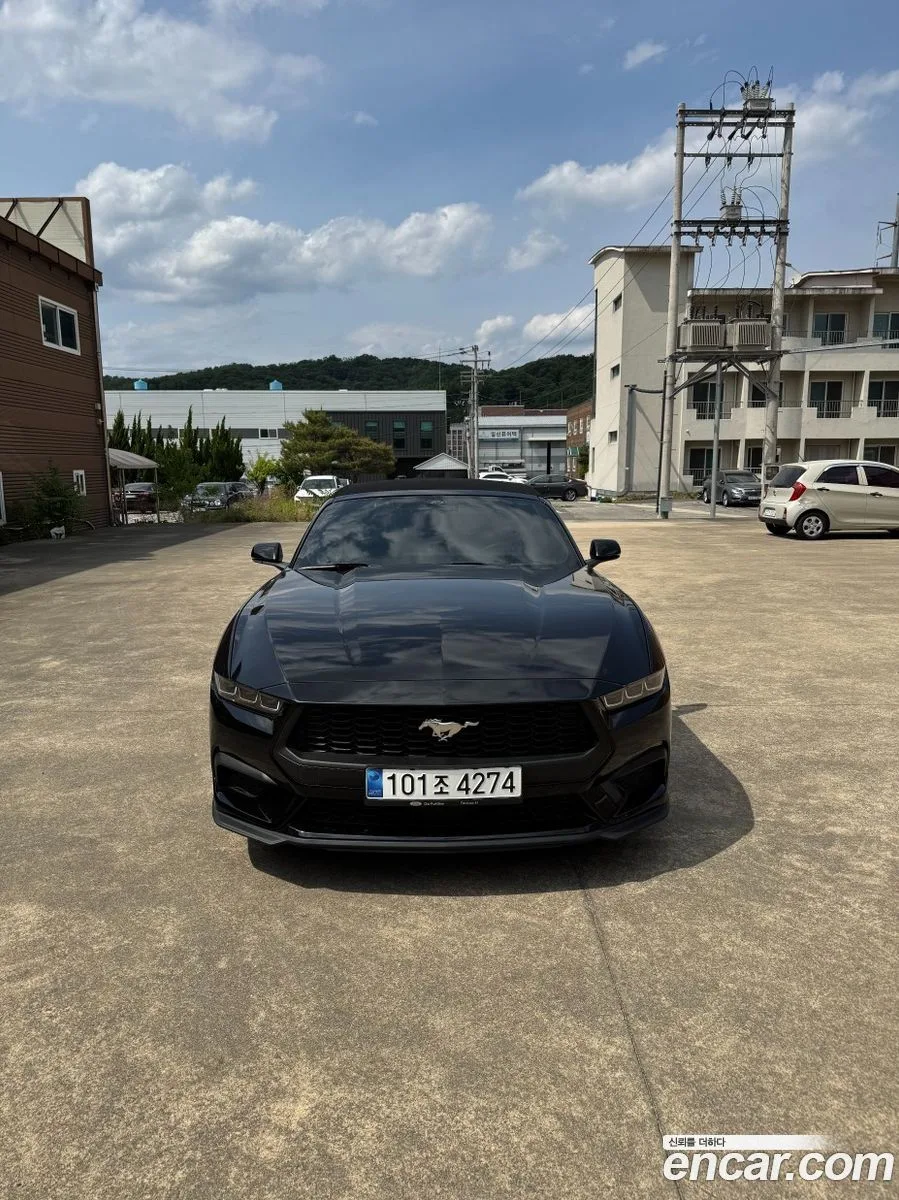 Ford Mustang 2.3 2024 — photo 1, buy with delivery to Moscow