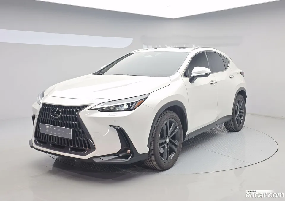 Lexus NX 350h 2024 — фото 1, купить с доставкой в Москву