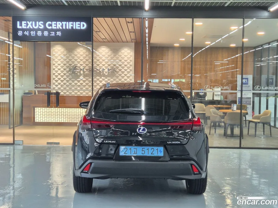 Lexus UX 300e 2WD 2022 — миниатюра 4