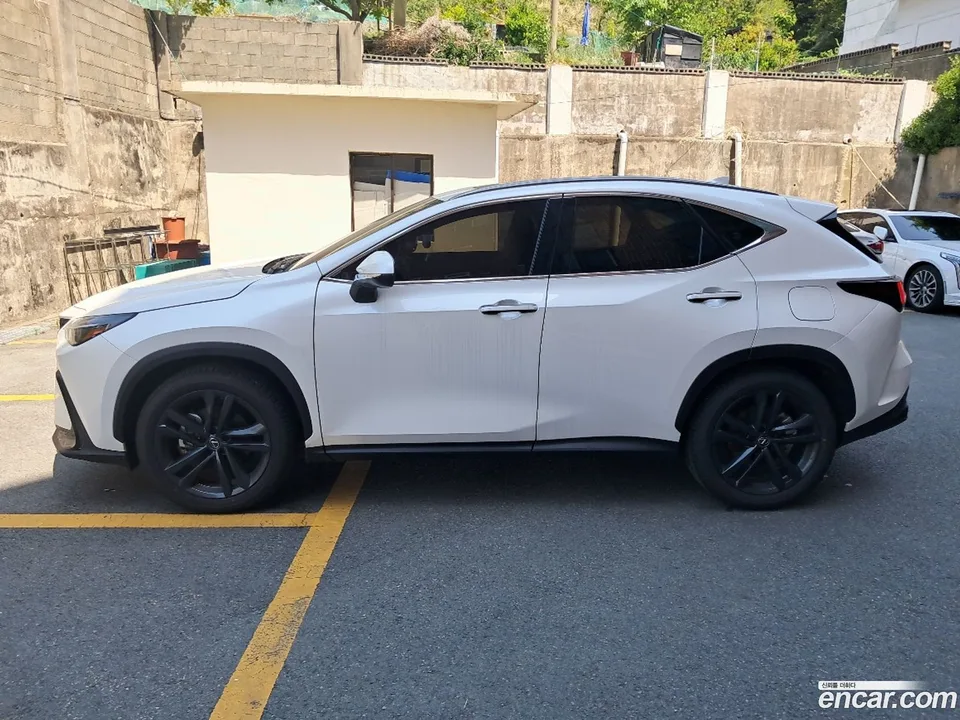 Lexus NX 350h 2025 — миниатюра 5