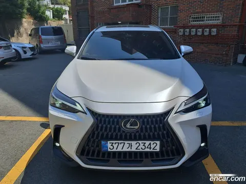 Lexus NX 350h 2025 buy in Moscow