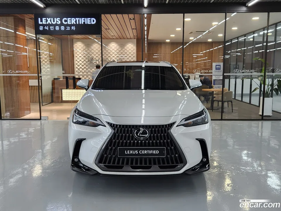 Lexus NX 350h 2023 — миниатюра 3