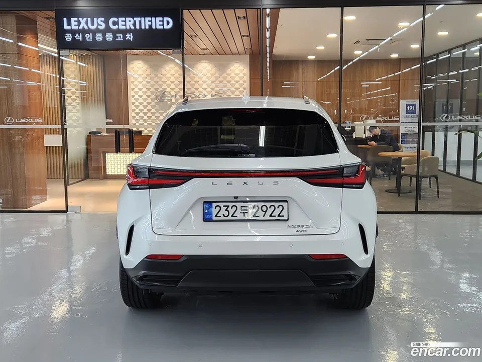 Lexus NX 350h 2023 — миниатюра 4