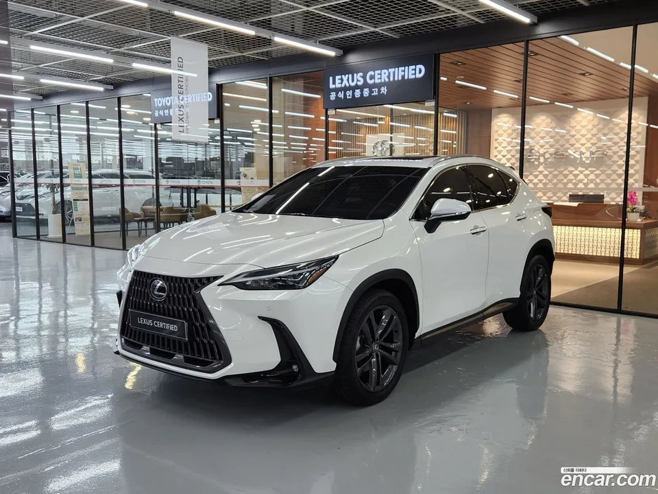 Lexus NX 350h 2023