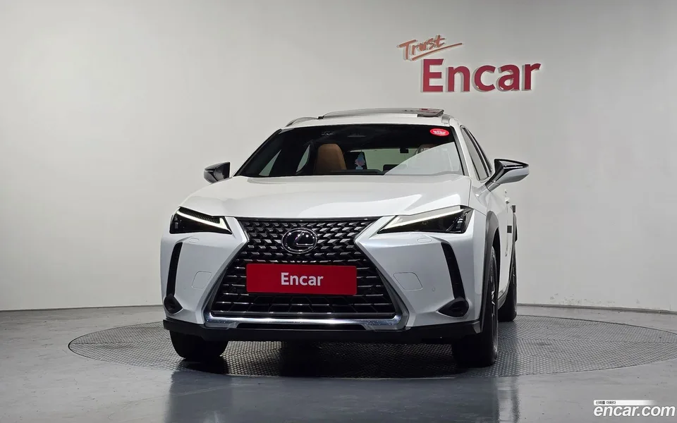 Lexus UX 300h 2.0 2WD 2024 — миниатюра 3