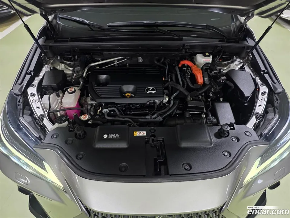 Lexus NX 350h 2022 — миниатюра 5