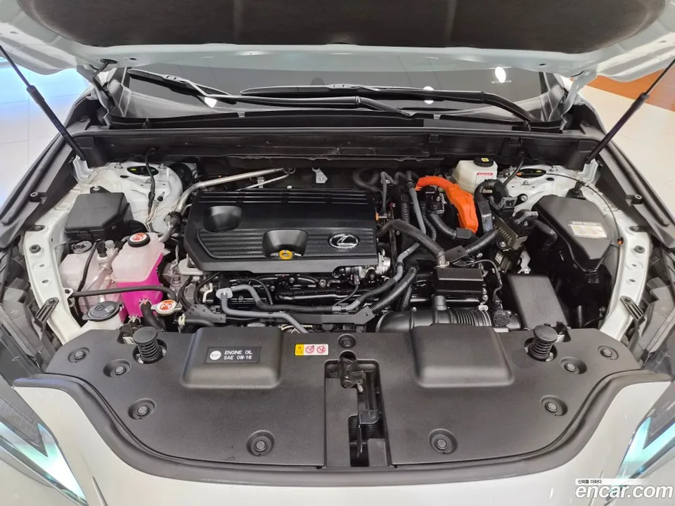Lexus NX 350h 2024 — миниатюра 2