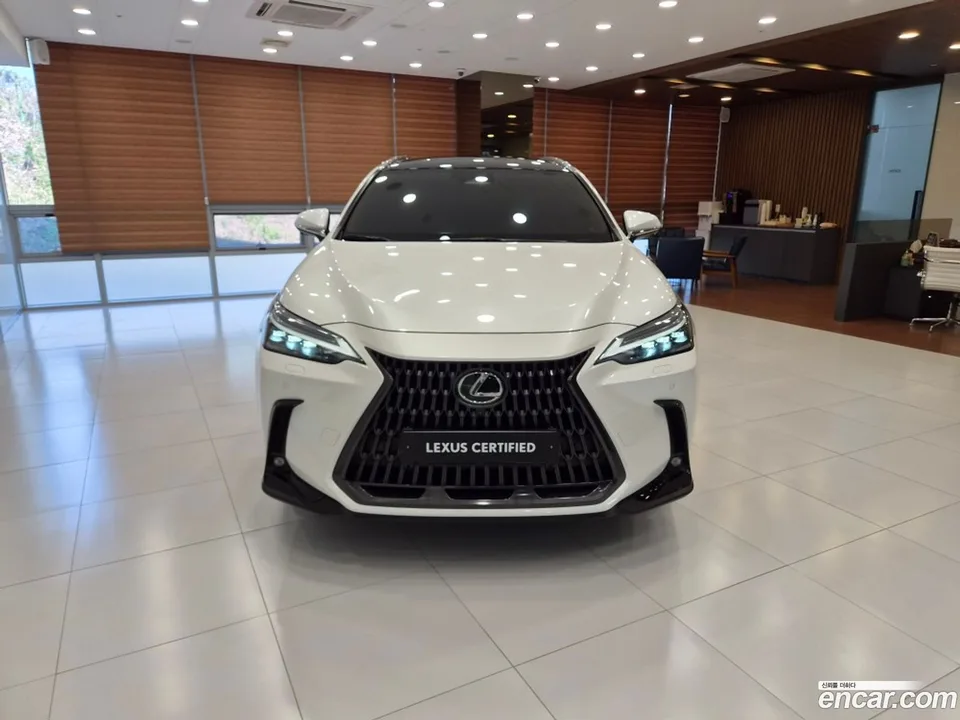 Lexus NX 350h 2024 — миниатюра 3
