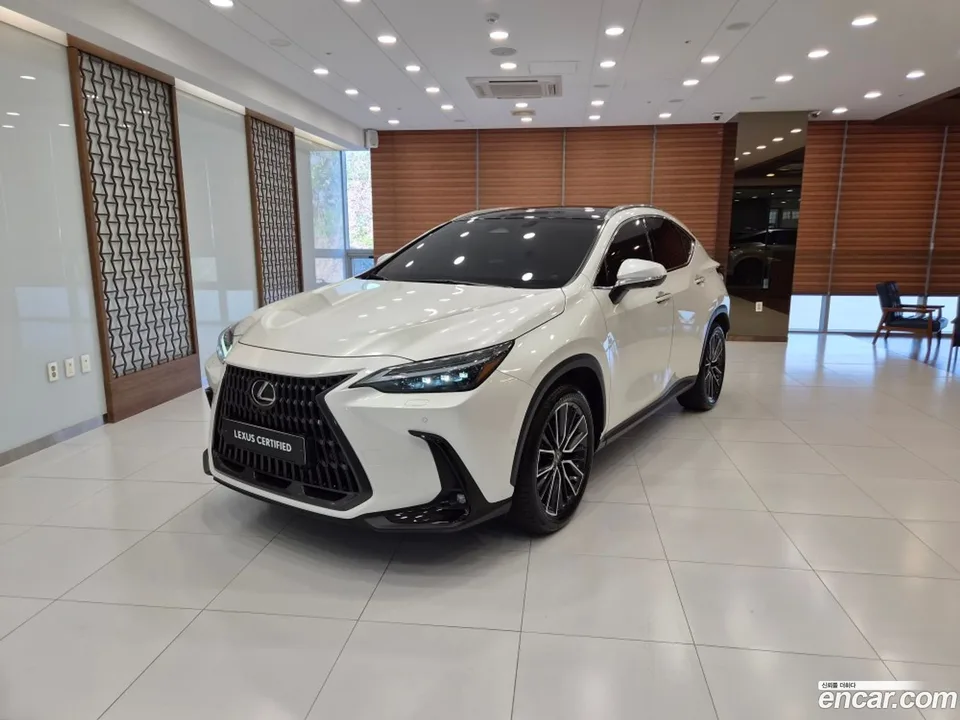 Lexus NX 350h 2024