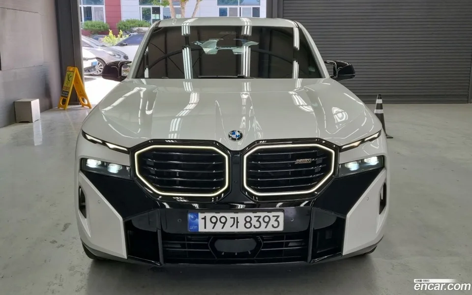 BMW XM 4.4 2023 — миниатюра 3