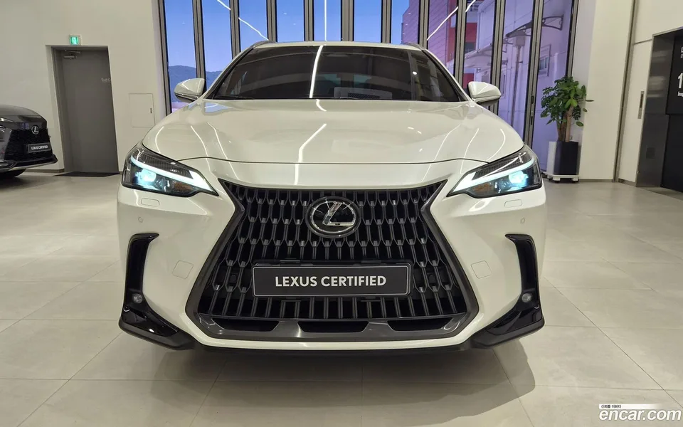 Lexus NX 350h 2023 — миниатюра 3