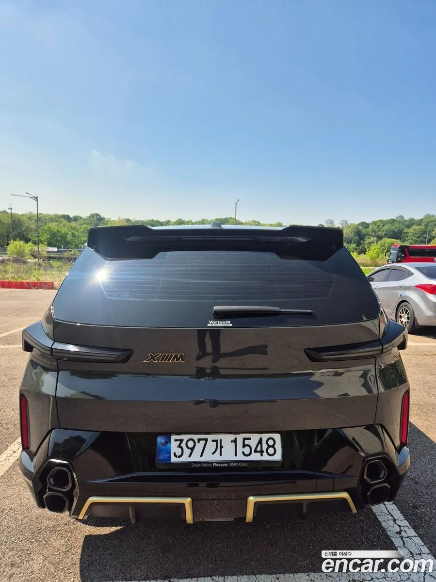 BMW XM 4.4 2024 — миниатюра 4